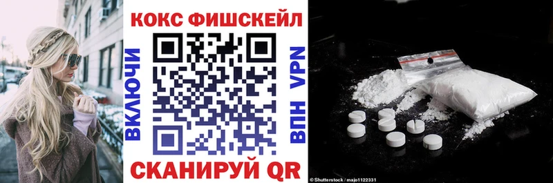 Купить закладки  Шатура  COCAIN FishScale 