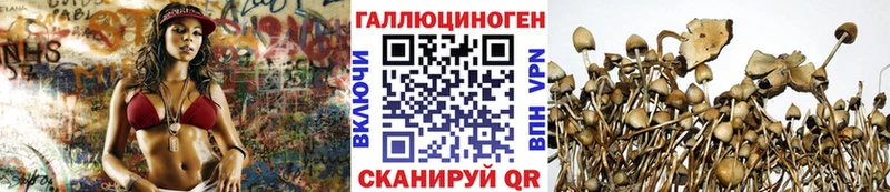 Псилоцибиновые грибы GOLDEN TEACHER  Купить  Шатура 